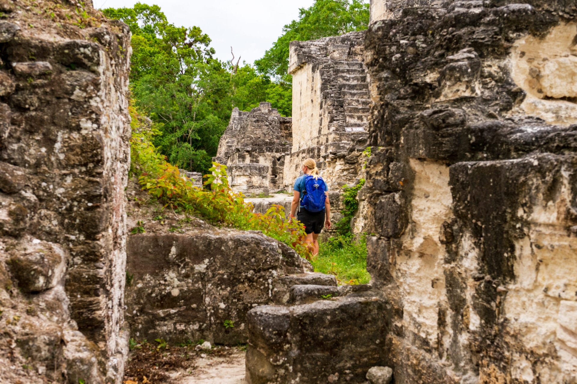 Solo hiker i junglen ved Tikal Guatemala