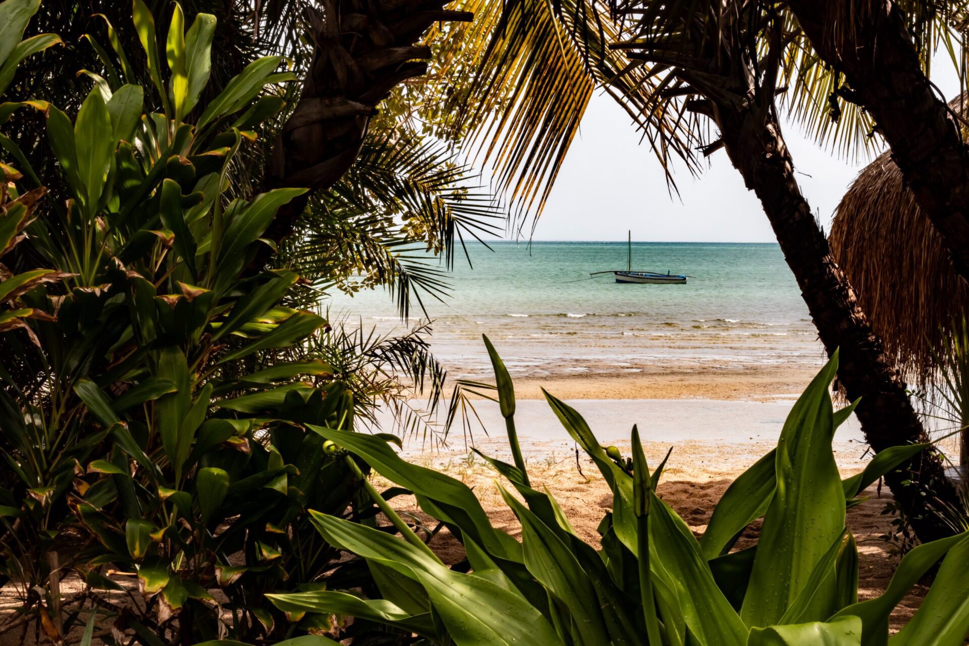 udgik til flot strand i Mozambique