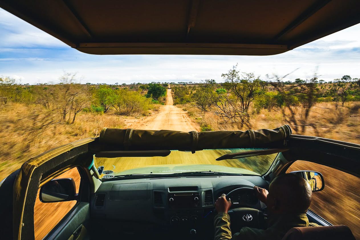 Udsigt fra safaribilen i sydafrika